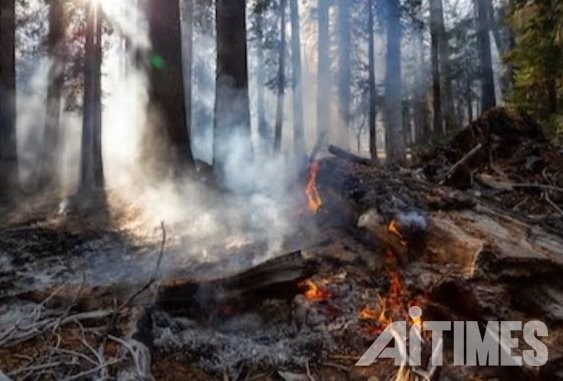 2018년 가을에 발생한 캘리포니아 지역의 산불 (사진=Shutterstock)