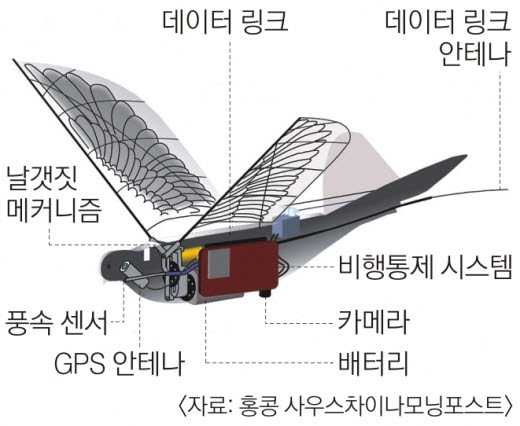 비둘기 감시드론 구조 (사진 제공=홍콩 사우스차이나모닝포스트) ©AI타임스
