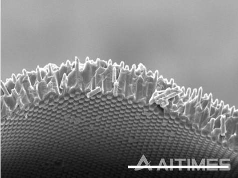 실리콘 마이크로와이어 복합체의 주사전자현미경 이미지. (사진 제공=울산과학기술원) ©AI타임스
