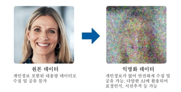 딥핑소스 비식별화 기술 소개. (사진 제공=딥핑소스) ©AI타임스