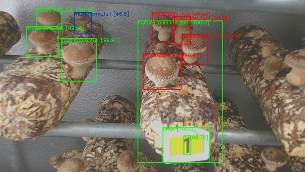 인튜웍스가 개발한 버섯 양식 영상 자동 분석 시스템(사진=ETRI)