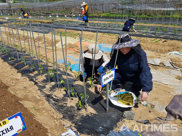 여수시가 힐링 농업을 체험할 수 있는 ‘도시민 친환경 가족 텃밭’ 참가자 200가족을 선착순으로 모집한다. (사진=여수시 제공). ©AI타임스