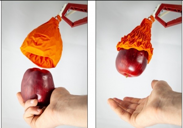 MIT와 하버드대 팀이 만든 원뿔꽃 모양의 부드러운 집게손 로봇 ‘오리가미 로봇 그리퍼’가곤충을 잡아먹는 파리지옥 풀처럼 물체 위로 다가가 사과를 집어 올렸다. 자신 무게의 100배나 되는 물체까지 들어 올릴 수 있다. (사진=MIT CASIL)