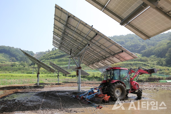 파루의 AI 태양광 트래커는 중앙지지대 1개로 구성돼 콤바인이나 트랙터, 이앙기 등 대형 농기계도 자유자재로 이동이 가능하다. (사진=파루 제공).