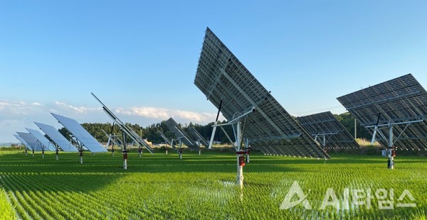 400kW 규모 AI 태양광 트래커가 설치된 영농형태양광 발전소 전경.
