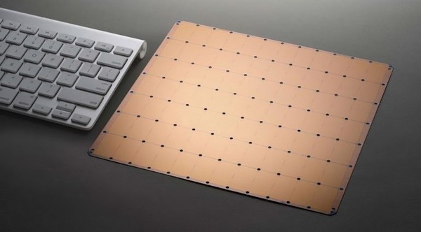 (사진=세레브라스)