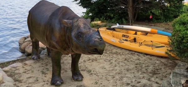완성된 3D 수마트라 코뿔소 뒤에 배경을 합성했다. 프로젝트를 이끈 코레이 재스콜스키는 "이와 같은 교육 자료를 제작해 수마트라 섬에 가지 않더라도 멸종위기에 처한 코뿔소를 아는데 도움이 되길 바란다"고 말했다. (사진=Corey Jaskolski).