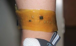 (사진=Chuanqian Shi).