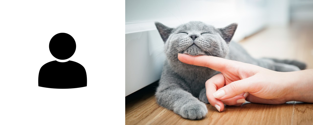 (사진=셔터스톡)