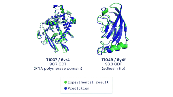 알파폴드2 예측과 인간 연구진 연구 결과를 비교한 폴딩 단백질 이미지