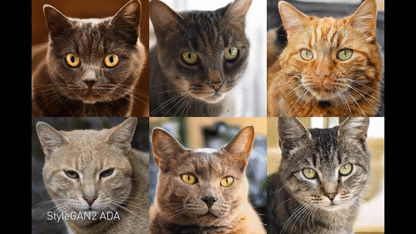 (사진=엔비디아).