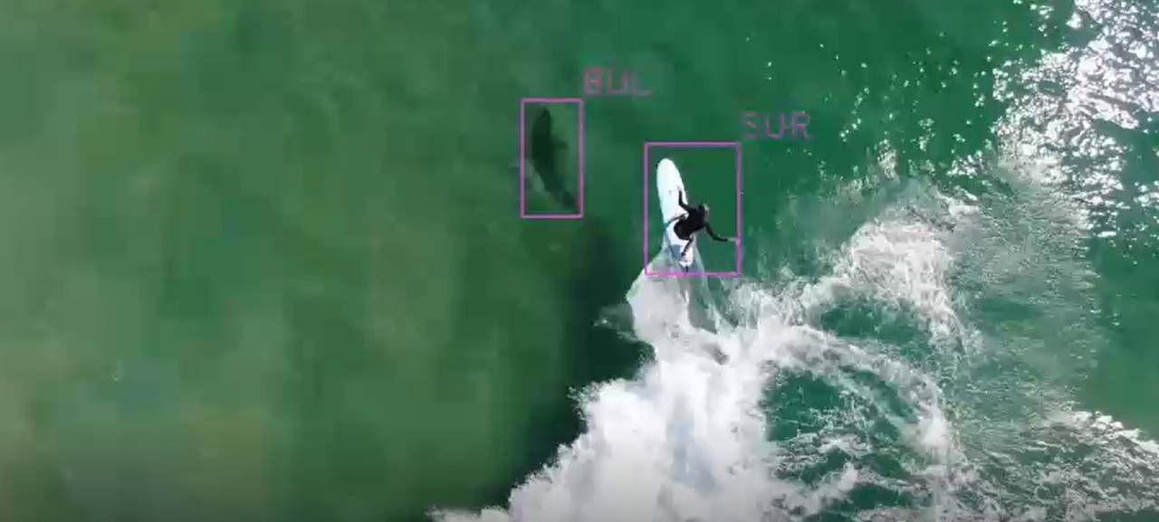 드론이 사람과 상어를 분간하고 있다. (사진=서던크로스대) 