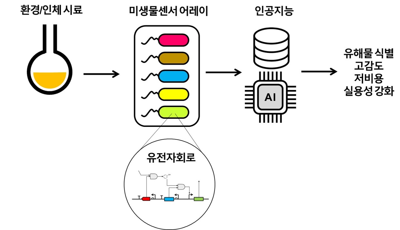 AI 미생물 바이오센서 집합체 개념도(사진=생명연)