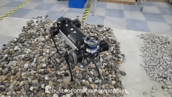 (사진=Yang et al).