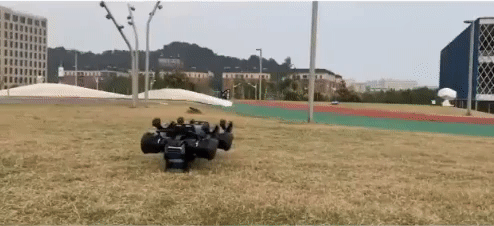 (사진=Yang et al).