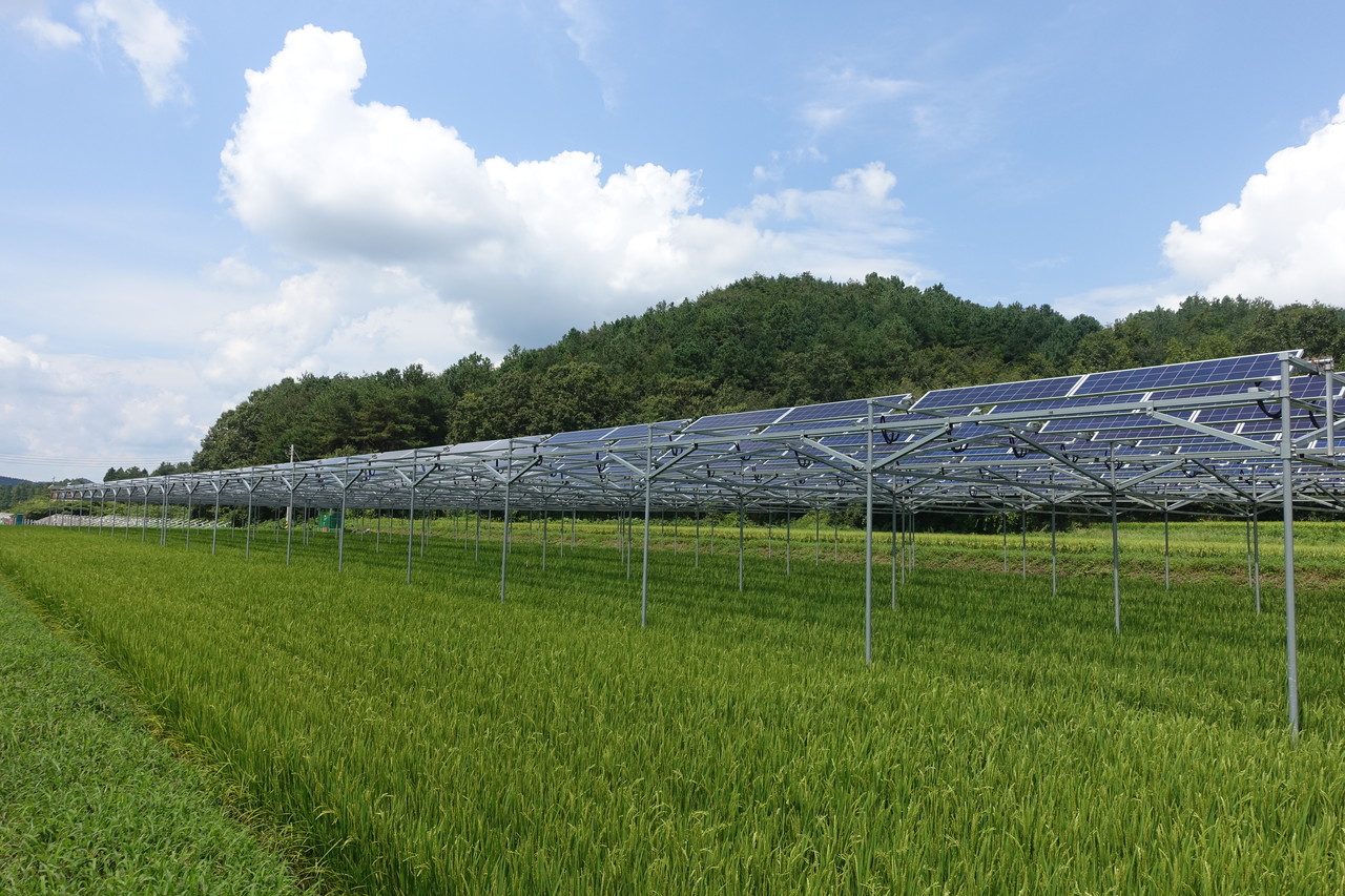 문병완 보성농협 조합장이 실증사업을 실시하고 있는 보성 옥암리 시범단지 모습. (사진=보성농협 제공).