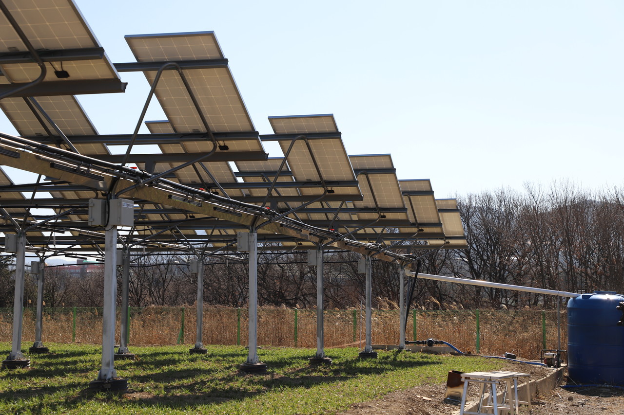 폭우가 내릴 시 태양광 시설과 연결과 물탱크로 물이 집수된다.