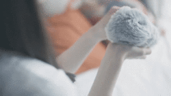 (사진=Vanguard Industries).