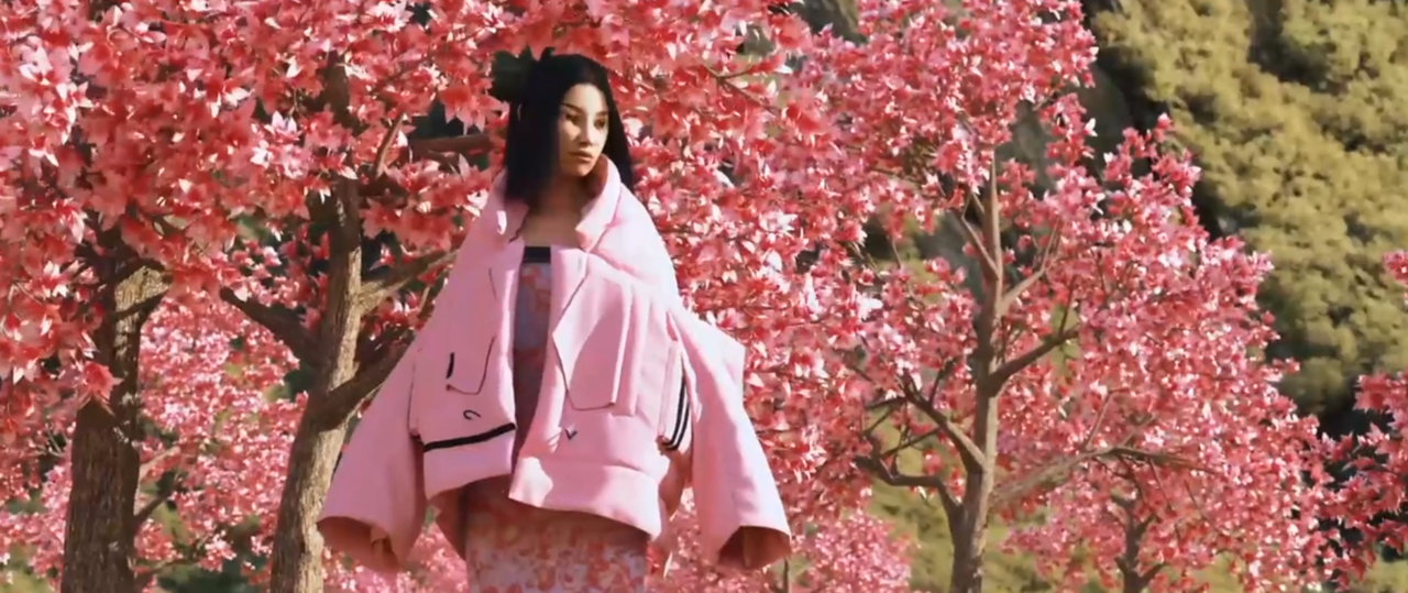 (사진='canadagoose')