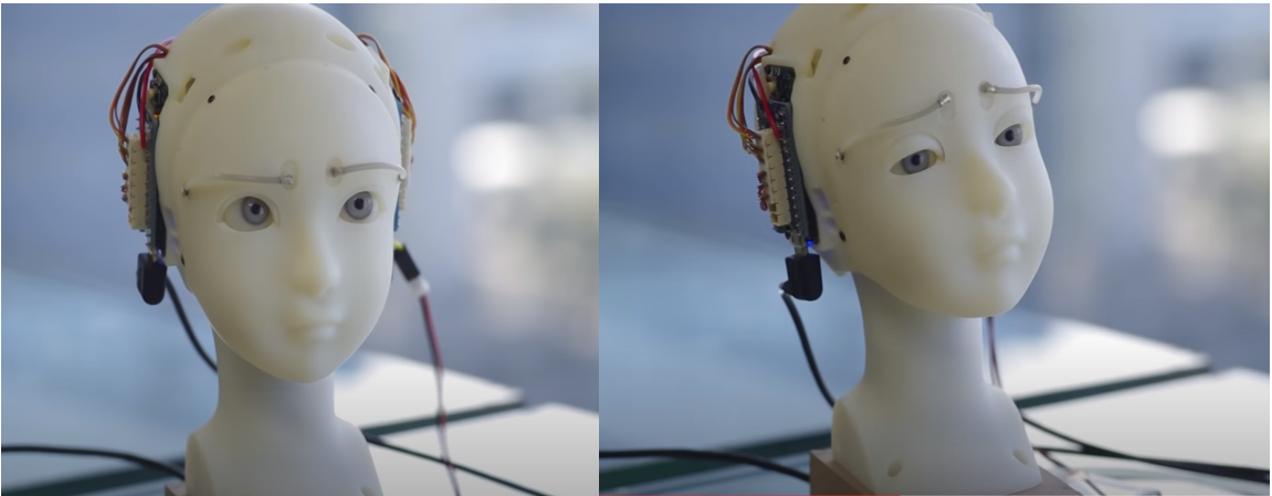 감정표현 재현 로봇 시어는 인간의 눈썹, 시선을 모방해 표정을 짓는다. (사진=타카유키 토도 유튜브)