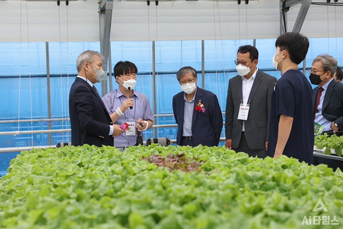 전남대학교 SMART영농창업특성화사업단은 지난 6월 3일 정성택 전남대 총장을 비롯한 보직교수들과 신명식 농림수산식품교육문화정보원 원장, 학생, 지역민 등이 참석한 가운데 학내 농업실습부지에서 ‘인큐베이션 팜’을 개장했다. 정성택 총장 등 참석자들이 인큐베이션 팜을 둘러보는 모습. (사진=전남대학교 제공).