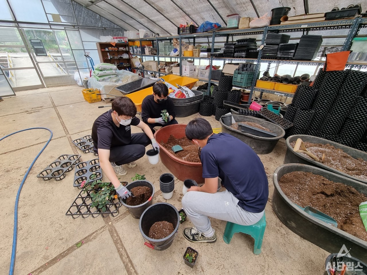 전남대 인큐베이션 팜에서 학생들은 정보통신기술(ICT)을 활용해 직접 작물을 재배하고 플랜트 빌리지와 협동조합을 통해 판매까지 경험할 수 있다. (사진=한태호 SMART영농창업특성화사업단장 제공). 