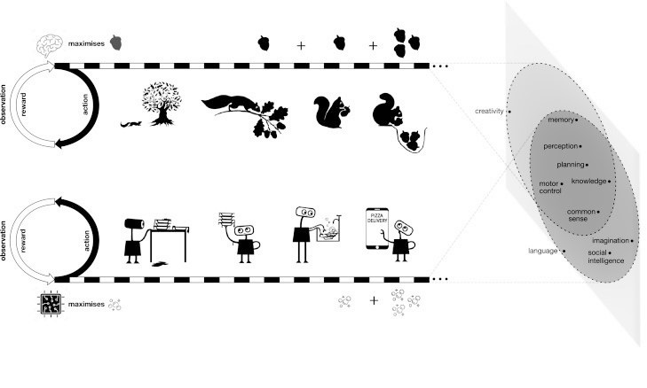 딥마인드 연구진은 도토리를 하나씩 따다 보관해 굶주림을 최소화하는 보상이 동반되는 작업을 수행하는 다람쥐와 청결이라는 단일 목표를 위해 각 과정마다 임무를 완성해가는 주방용 로봇을 예로 들어 강화학습의 보상이 AGI를 만드는 데 최적의 방법이라고 설명했다. (그림=Reward is enough 논문 발췌).