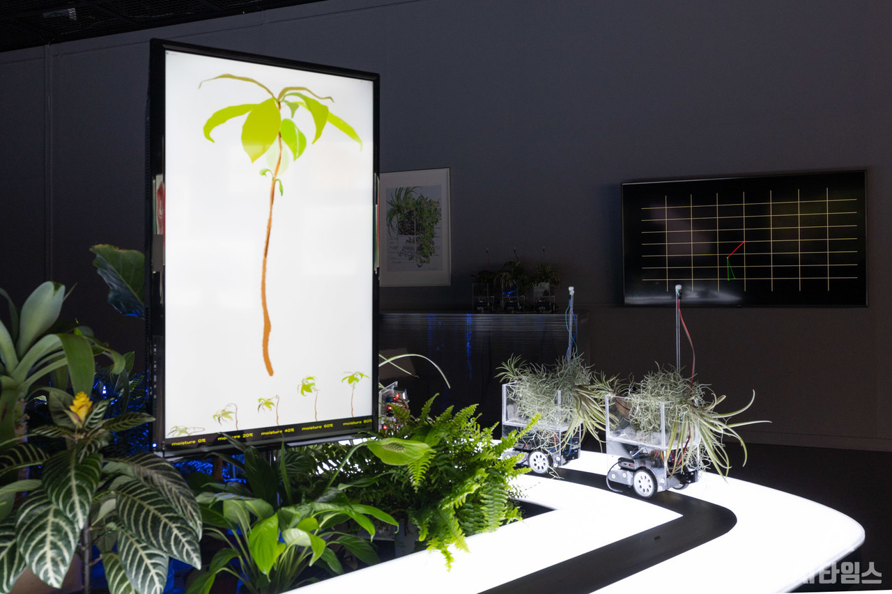 광주시립미술관은 7월 15일부터 10월31일까지 본관 1·2전시실에서 현대미술에 첨단과학기술이 접목된 '메타 가든'전이 열렸다. 소수빈 작가의  미래 식물의 생태계를 표현한 '신-생태계의 휴리스틱' 작품. (사진=광주시립미술관 제공).