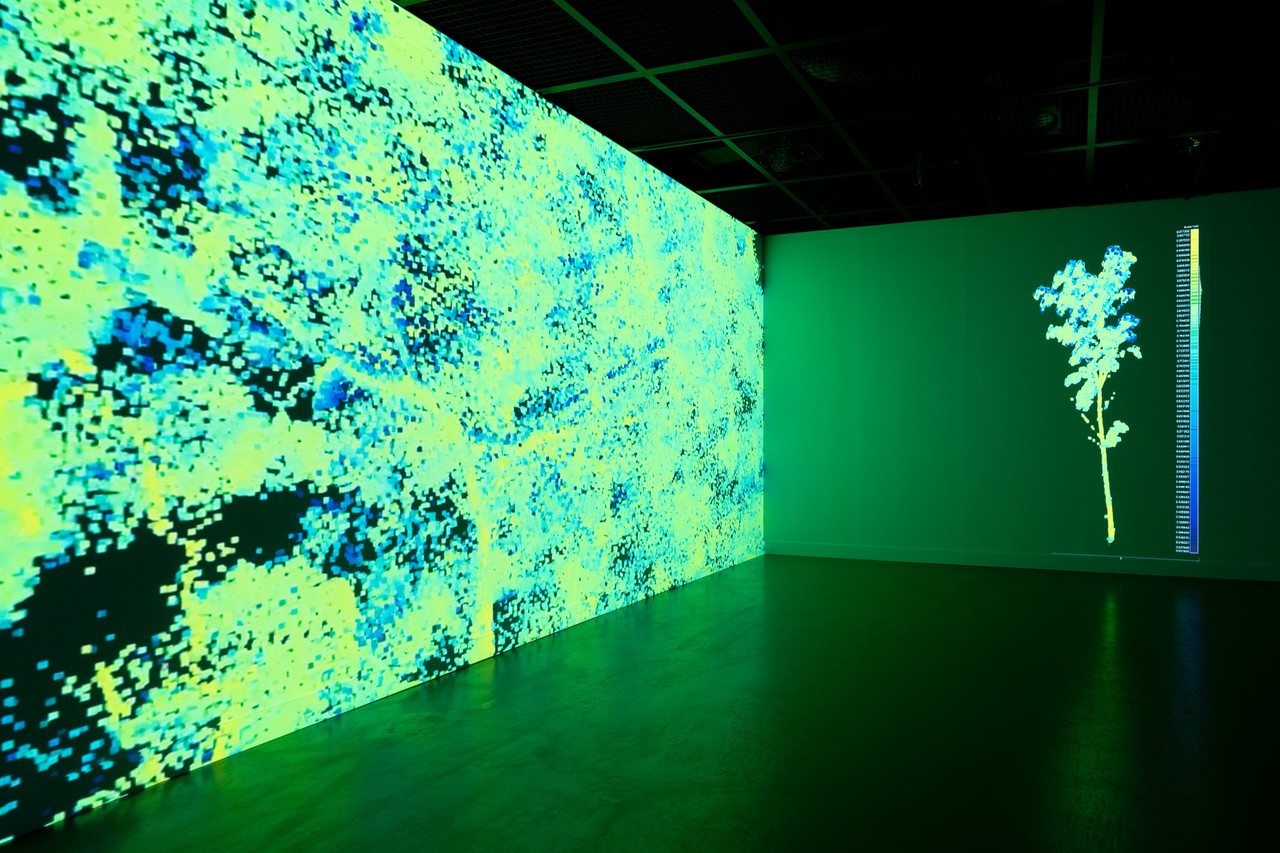 박고은 작가의 '식물의 몸짓, no 2' 작품. (사진=광주시립미술관 홈페이지 제공).