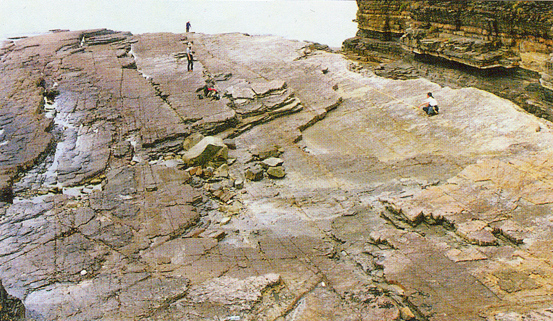 추도 공룡 화석지 전경. (사진=문화재청 국가문화유산포털).