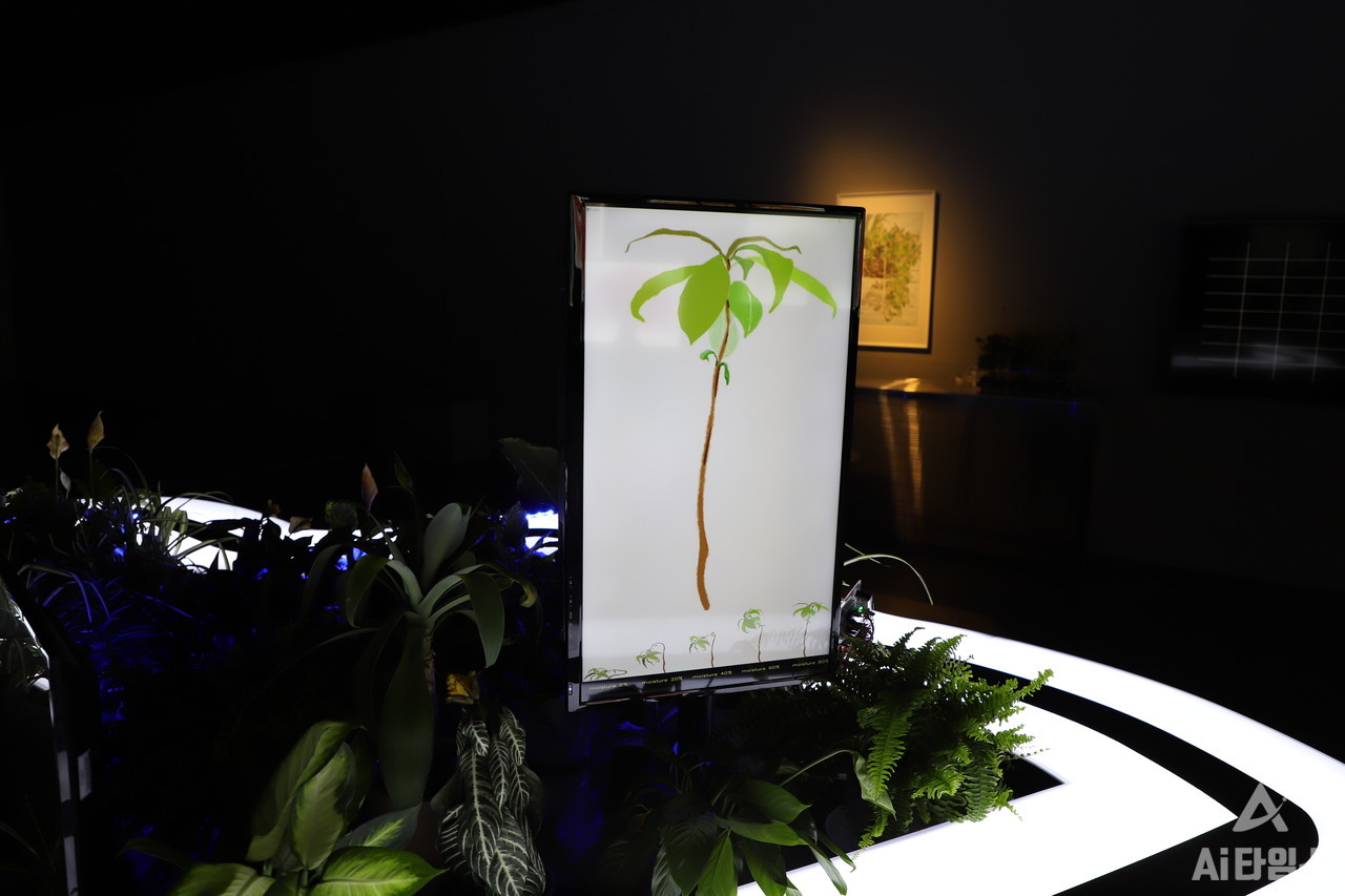 소수빈 작가의 ‘신-생태계의 휴리스틱’.  식물들의 상태가 온도, 습도, 조도를 측정하는 칩에 의해 모니터로 보여진다. (사진=설재혁 기자).