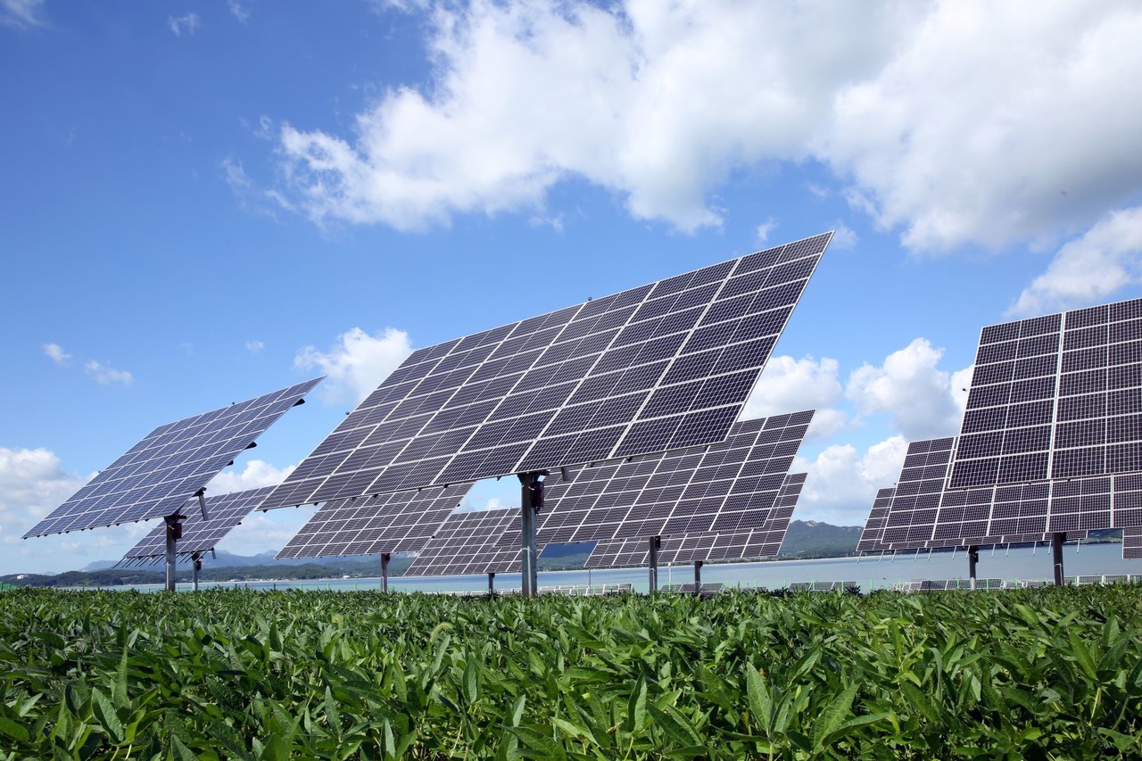국내 기업 '파루'가 일본에 수출하고 있는 'AI 태양광 양축 트래커'. 최근 일본 이바라키현을 중심으로 일본 농촌지역에 확산되고 있는 태양광 모델이다. (사진=파루 제공).