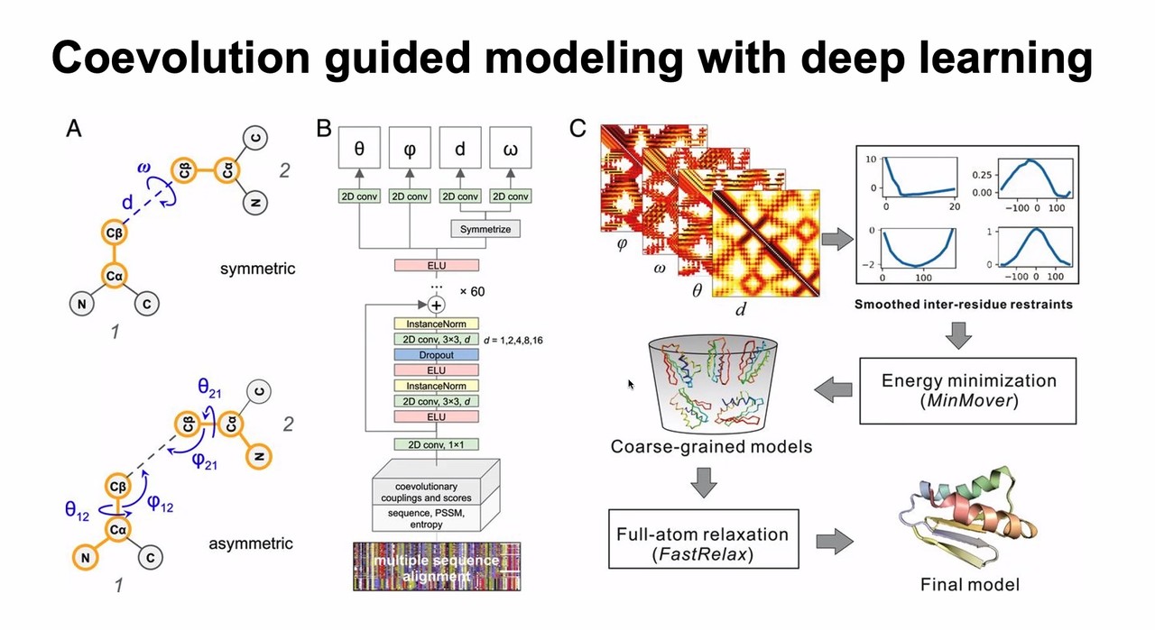 CNN을 사용한 단백질 구조 예측 과정(사진=행사 캡처)