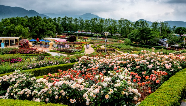 장성군은  국토교통부 주관 디지털 트윈국토 공모 시범사업에 선정돼 국비 3억원을 지원받아 섬진강 기차마을을 메타버스로 구현한다. 공간정보를 활용한 공유재산관리, loT 센서기반 재난재해 및 피해 최소화, 빅데이터 기반 교통정보 분석 및 도로관리 등을 효율화하는 모델을 구축할 예정이다. (사진=곡성군 제공).