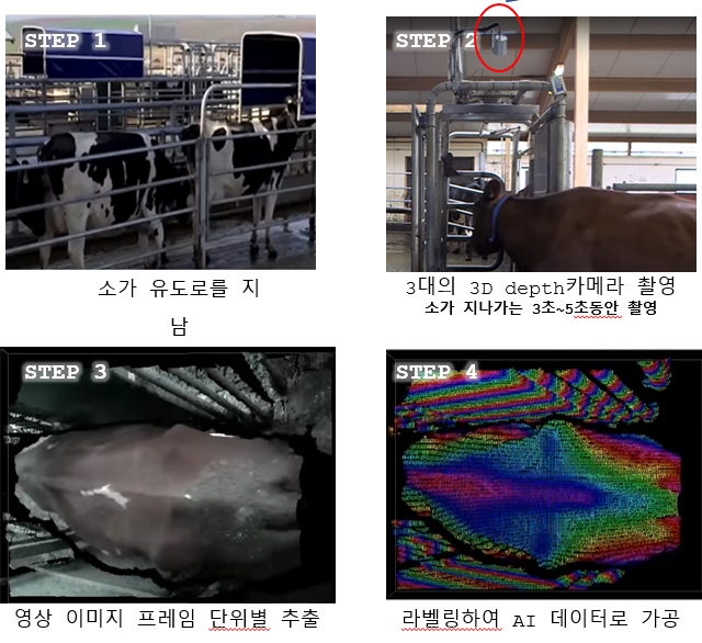 한우 신체충실지수(BCS) 등급 데이터 구축 과정 요약.  (사진=아이트 제공).