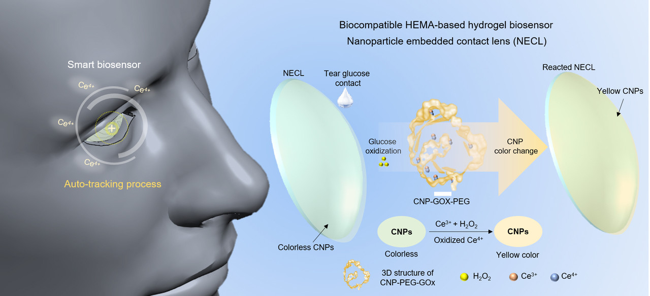 스마트 콘택트렌즈의 발색 변화를 통한 눈물 속 포도당 농도 측정 시스템의 전체 구성도 및 렌즈의 발색 변화 화학적 반응 모식도. (사진=지스트 제공).