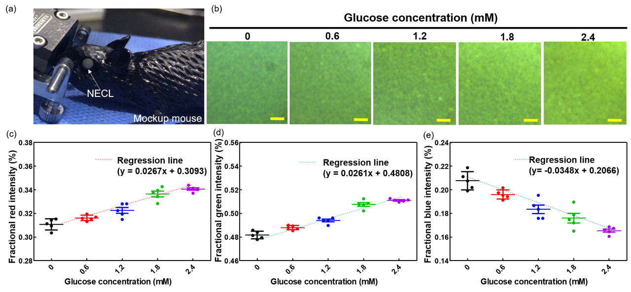 (a) 눈물 속 포도당 농도 산출을 위한 검량선 피팅(Calibration curve fitting). (b) 실험 이미지 및 실제 포도당의 농도의 변화에 따른 스마트 콘택트렌즈의 발색 변화. (c~e) 제작된 포도당 농도 변화에 따른 스마트 콘택트렌즈의 RGB 변화 정도 측정과 선형 피팅(Linear fitting) 결과. (사진=지스트 제공).
