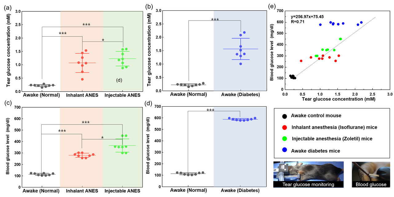 동물 실험을 통해 스마트 콘택트렌즈와 시스템의 유효성 확인. 혈중 농도 변화에 따른 눈물 내 포도당 농도의 검출 결과. (a~b) 정상 쥐와 수면 마취 쥐의 눈물 내 포도당 농도 비교. (c~d) 정상 쥐와 전신 마취 쥐의 혈중 포도당 농도 결과. (e) 혈중 포도당 농도와 눈물 속 포도당 농도의 상관성 분석 결과. (사진=지스트 제공).