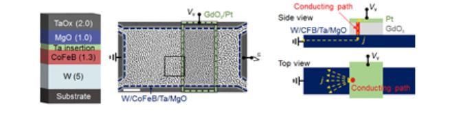 실험에 사용된 3차원 스커미온 소자 구조. (출처=KRISS).