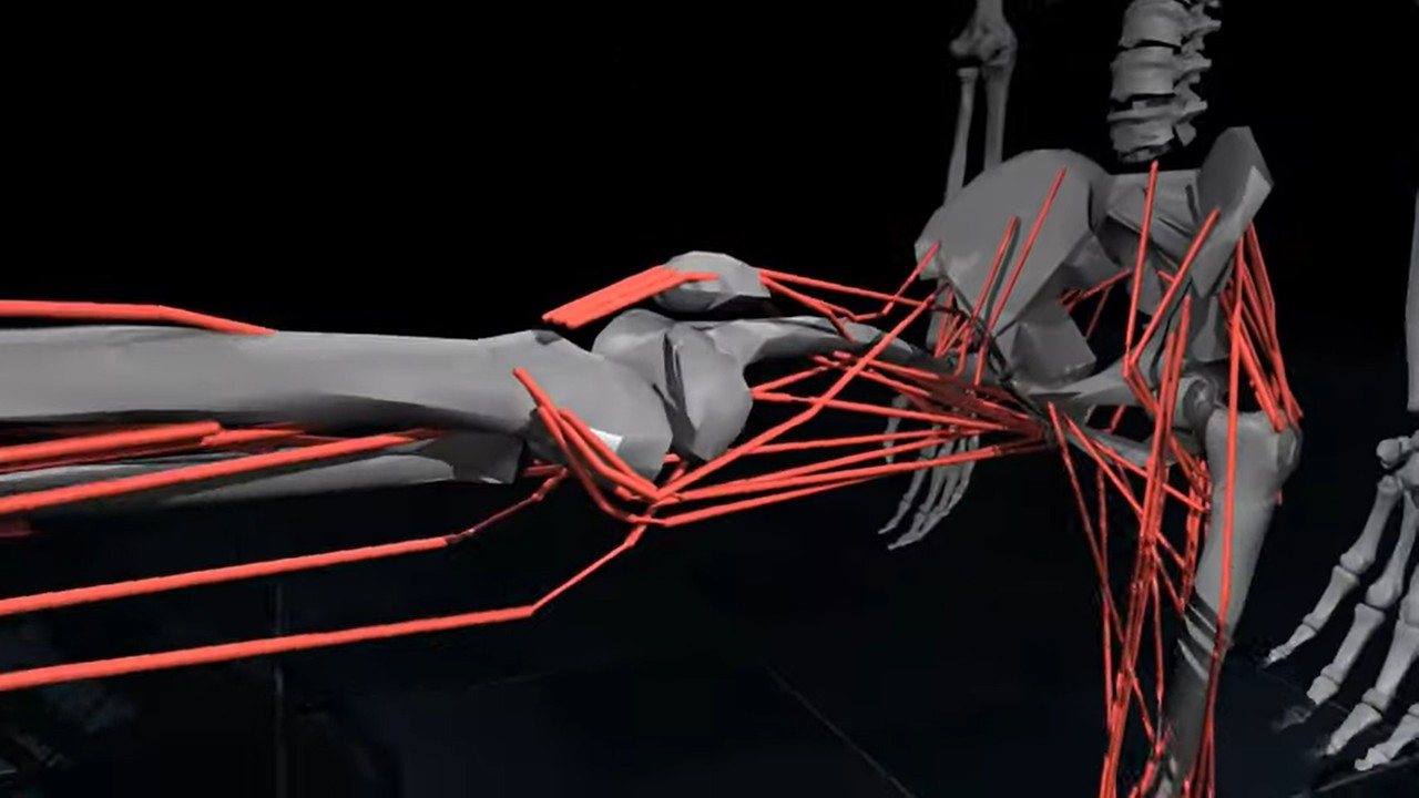 무조코 시뮬레이터는 로봇 접촉 부위 등 물리적 특성을 정확히 구현할 수 있는 장점이 있다. (사진=딥마인드)