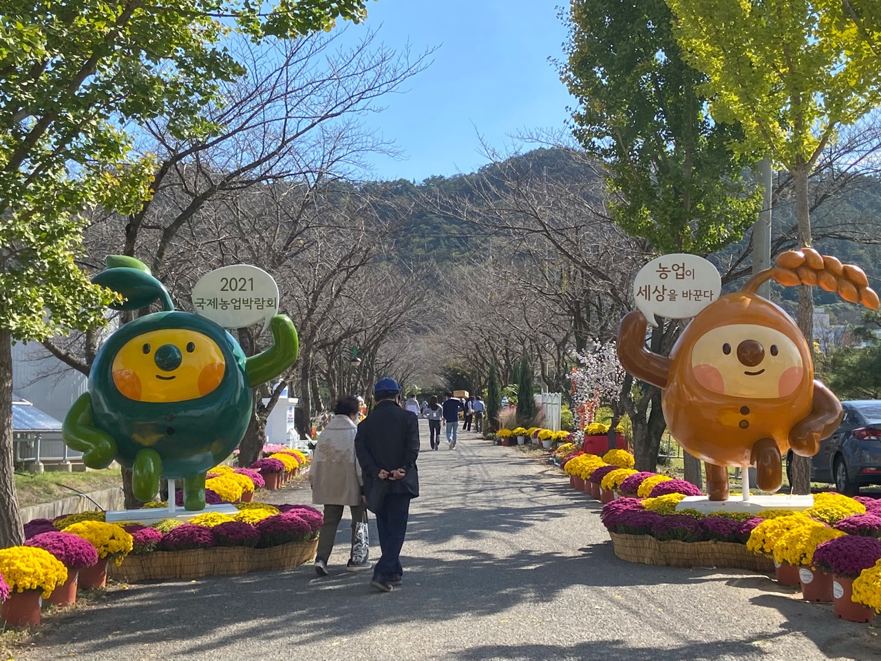 코로나19 사태로 무산됐던 국제농업박람회가 21일 오프라인으로 개최됐다. (사진=박혜섭 기자).  