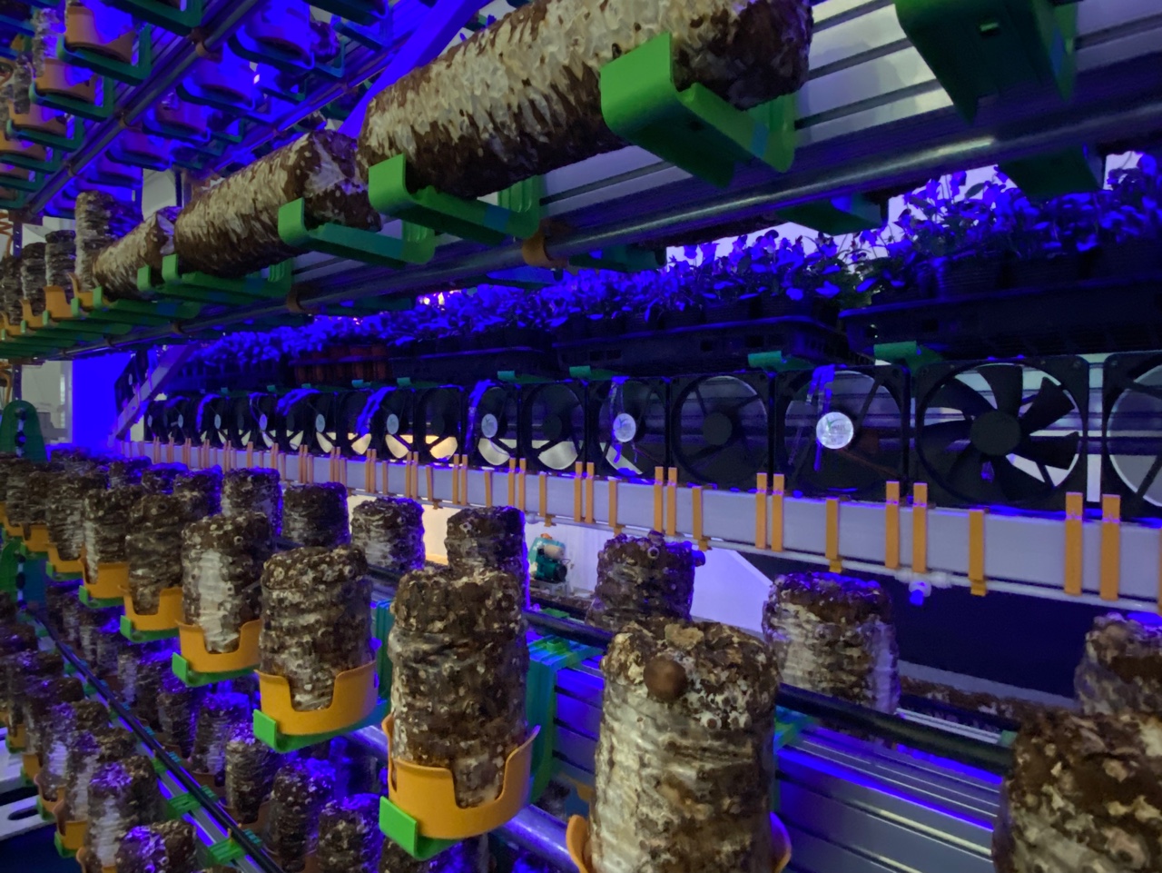 한국도시농업주식회사에서 선보인 실내 버섯재배농법. (사진=박혜섭 기자). 