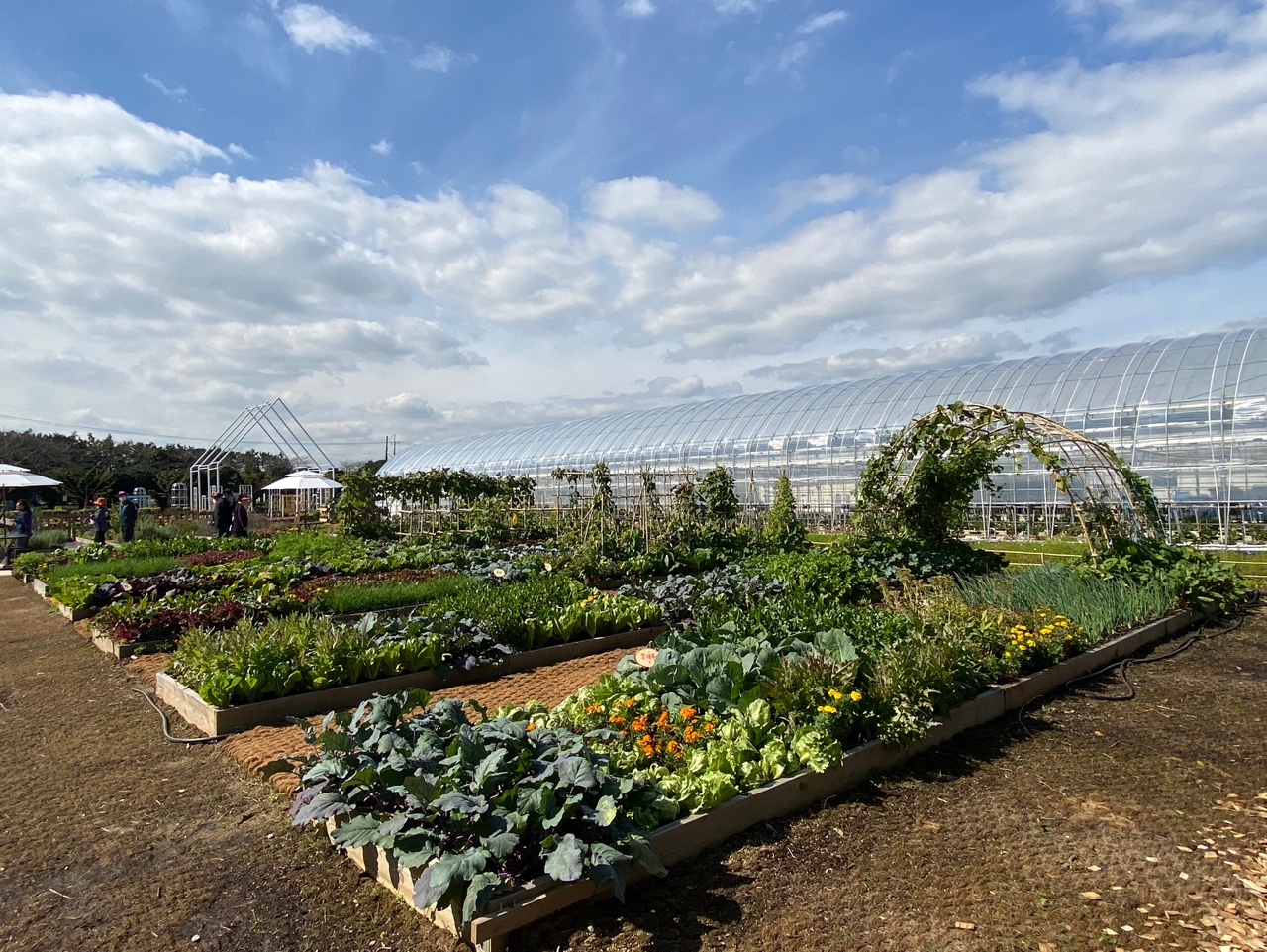 치유체험존 바깥에 자리한 치유체험관. 박람회 기간 동안 다양한 교육프로그램도 진행될 예정이다. (사진=박혜섭 기자). 