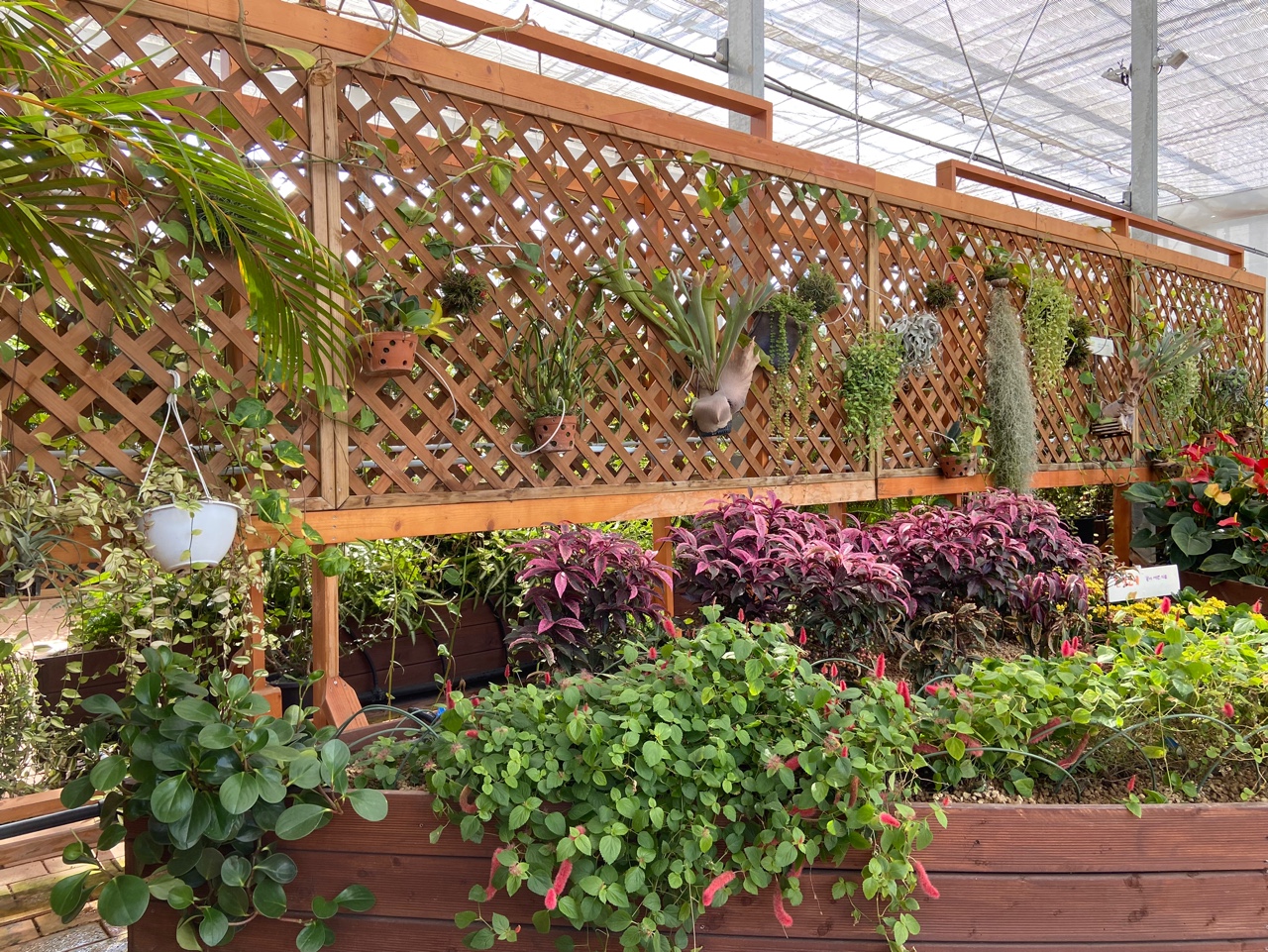 치유체험존 내부는 '힐링정원'으로 꾸며졌다. (사진=박혜섭 기자). 