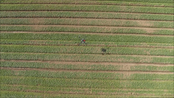 이번 2021 국제농업박람회에서 관람객들로부터 큰 관심을 받은 지페이 드론 시연 영상. 별도의 조종이 없이도 '자율비행'이 가능한 제품이다. (사진=XAG Drone Chile 유튜브).
