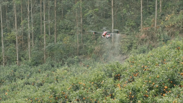 지페이 드론을 활용해 농약을 살포하고 있는 모습. (사진=XAG Drone Chile 유튜브).