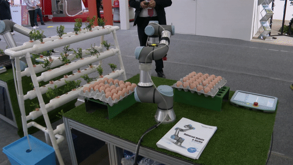 앱손의 6축 로봇이 감각센서를 이용해 계란을 옮기고 있다. ​(사진=나호정 기자).