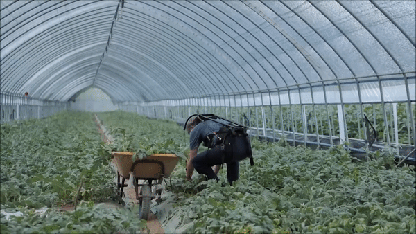 한 남성이 현대로템이 개발한 웨어러블 로봇을 입고 수박을 옮기고 있다. (사진=현대로템 유튜브 채널).