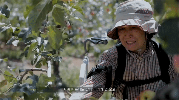 한 여성이 현대로템이 개발한 웨어러블 로봇을 사용해 과일을 수확하고 있다. (사진=현대로템 유튜브 채널).