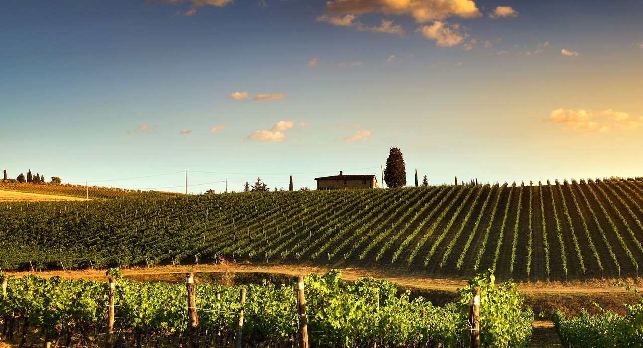 (출처=셔터스톡)